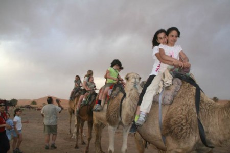 desertcamel4x4